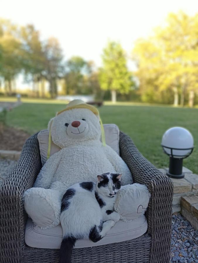 Mornay-sur-Allier The Cosy Retreatヴィラ エクステリア 写真